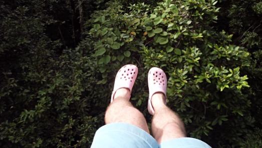 Crocs hanging up in the canopy - Daintree Rain Forest, Australia