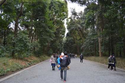 Forests of Meiji Jingu